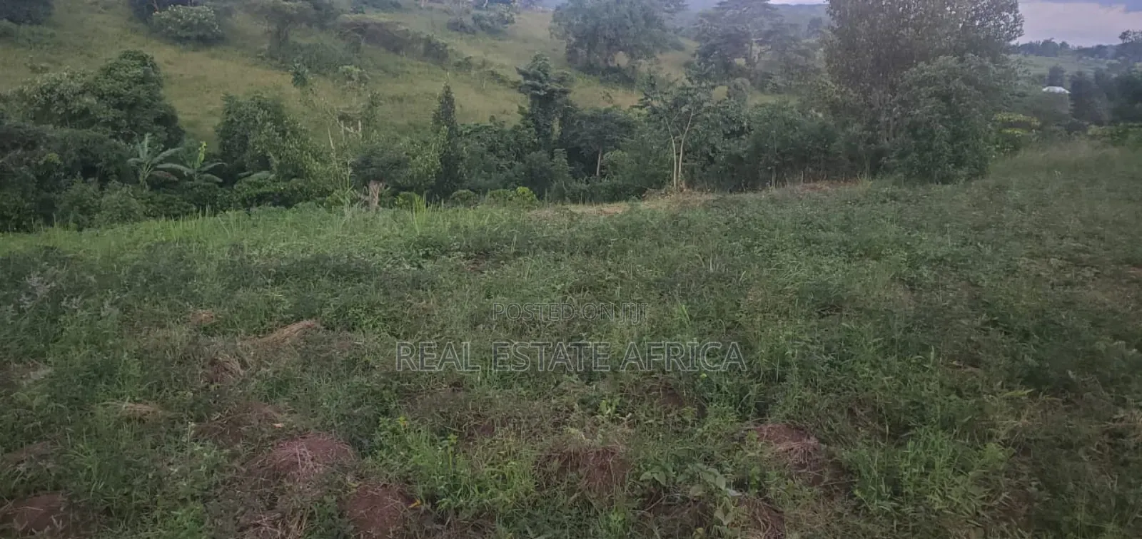 Quick Sale Plot of Land