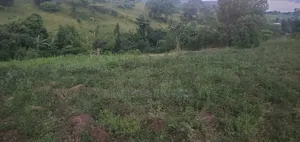 Quick Sale Plot of Land