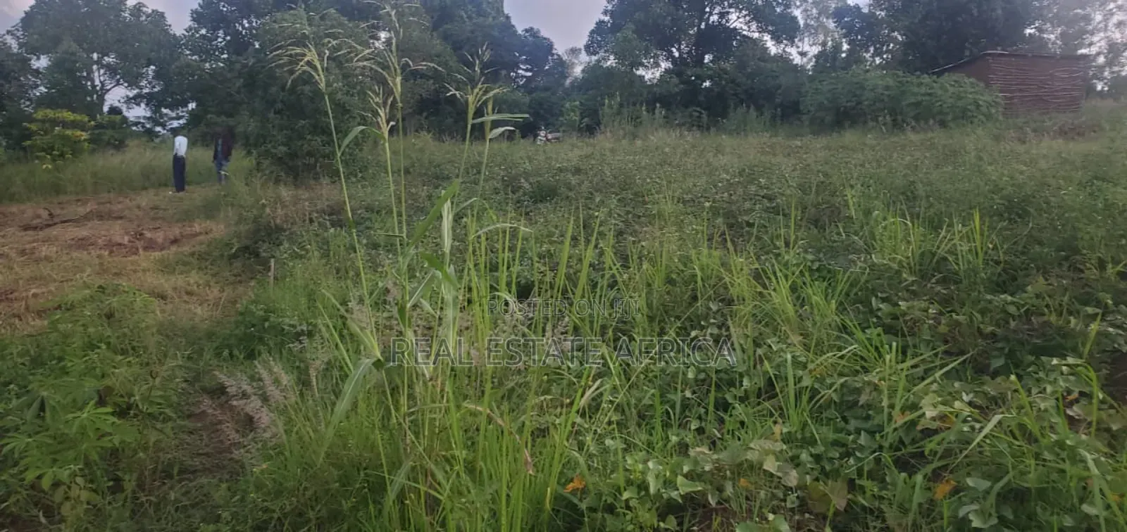 Quick Sale Plot of Land