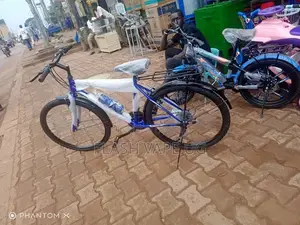 Walt Blue Bicycle