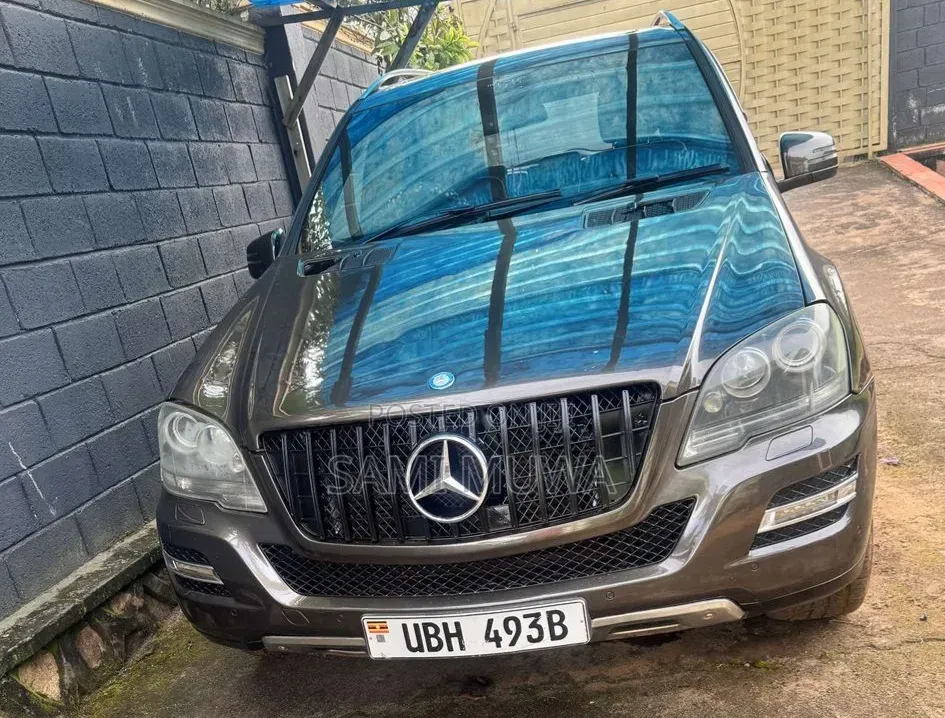 Mercedes-Benz M Class 2012 Brown