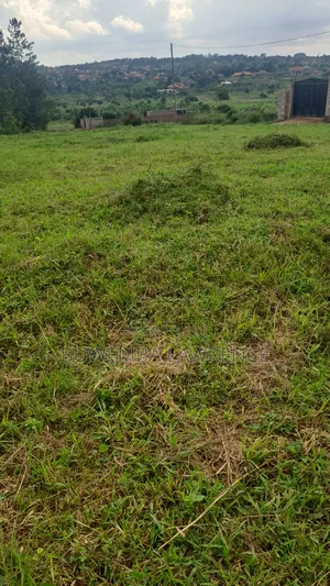 Land for Sale at Nkowe Wakiso 100x100