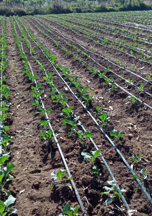 Solar Water Pumping System - Commercial Irrigation Pump
