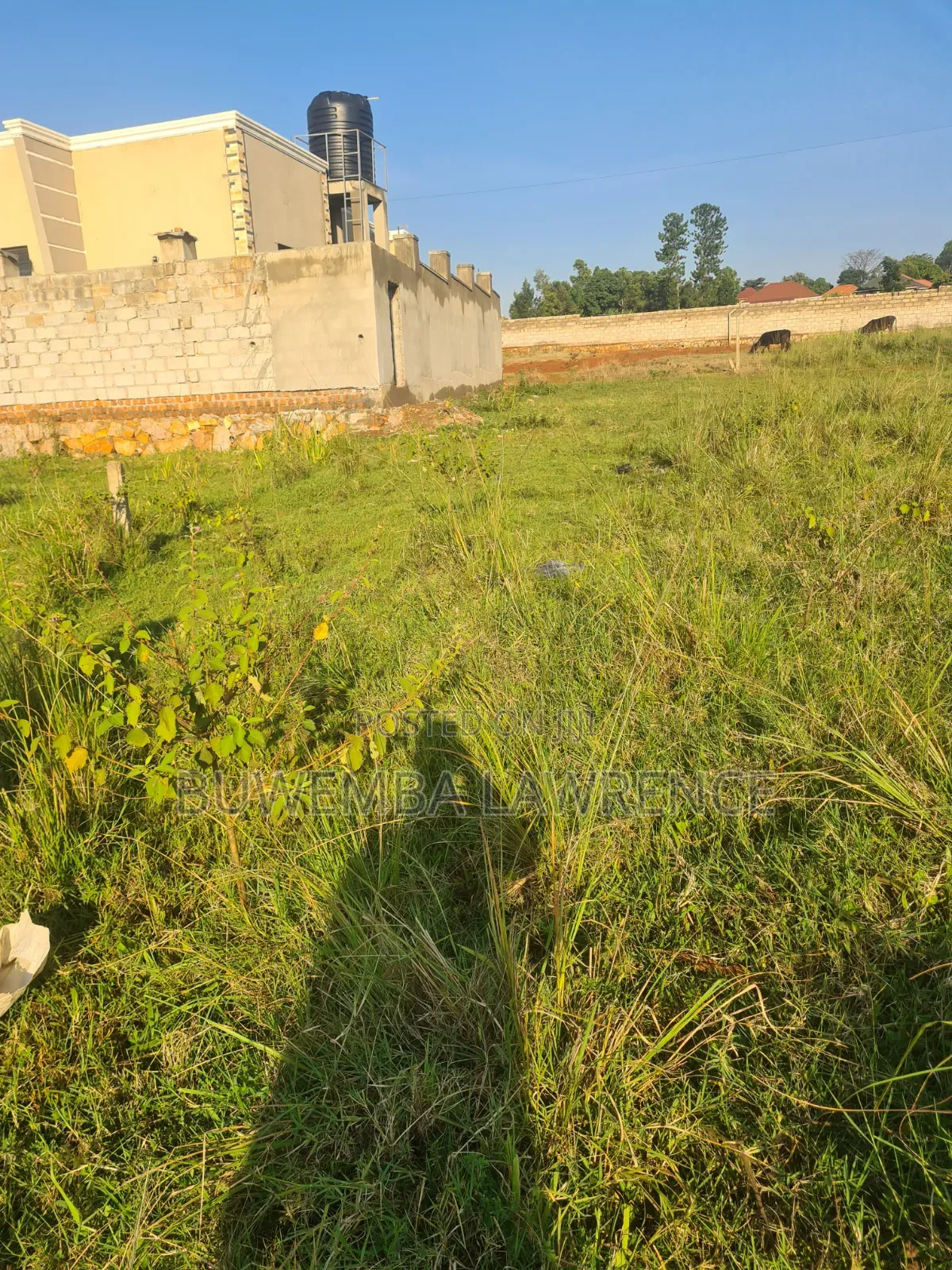 Land for Sale at Nsasa Namwezi 50x100