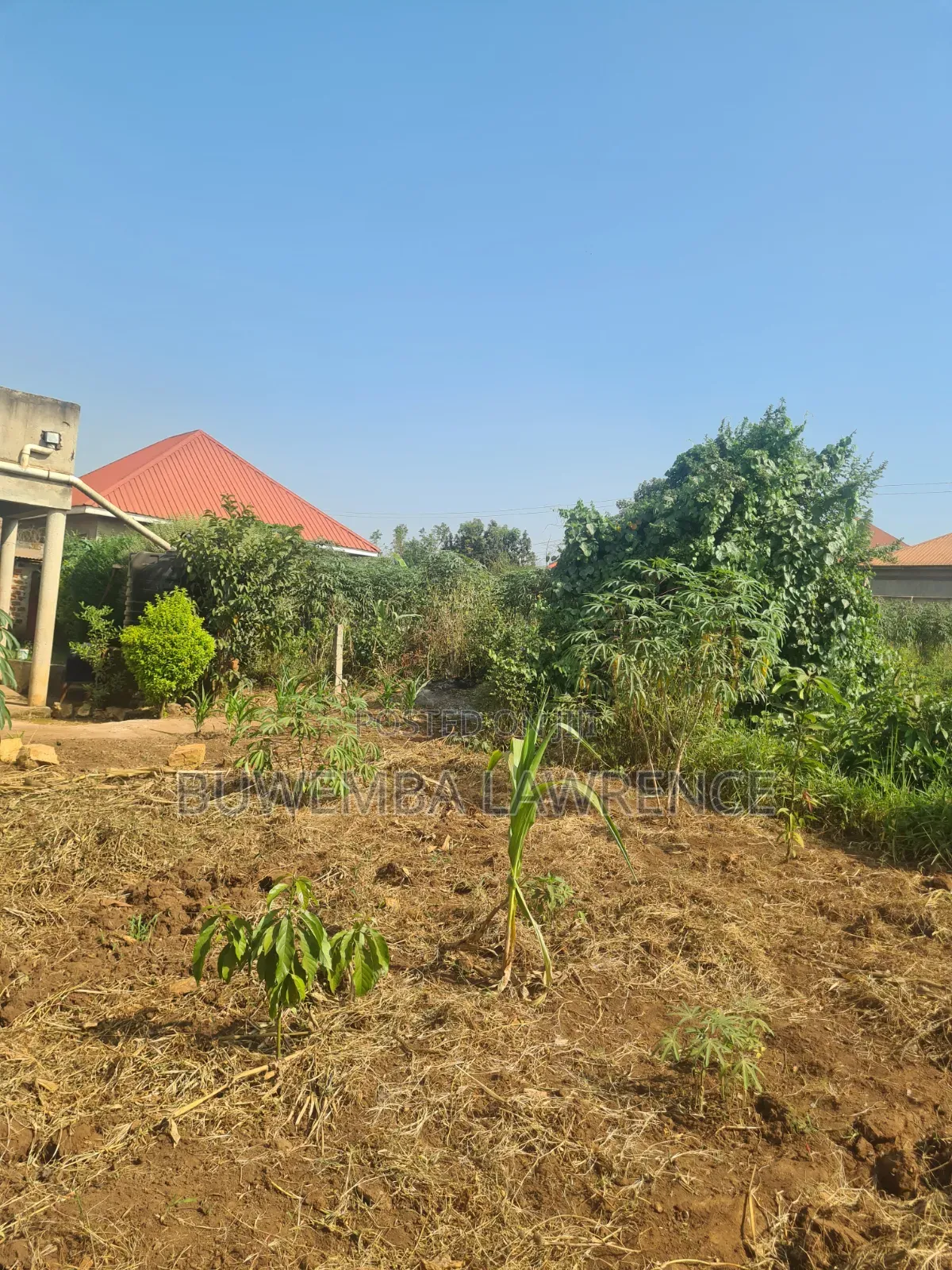 Land for Sale at Masoli Gayaza Road 50x100