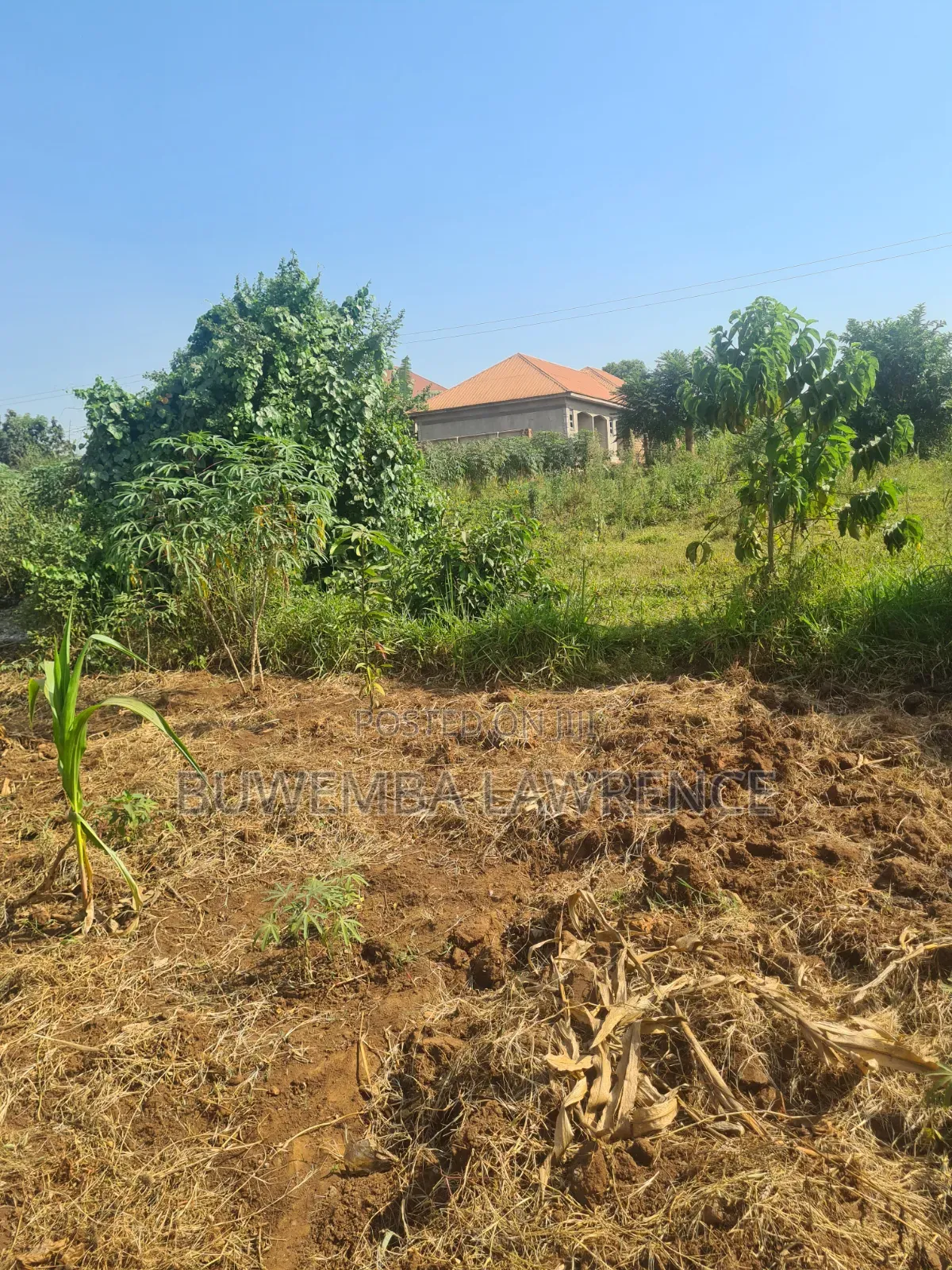 Land for Sale at Masoli Gayaza Road 50x100