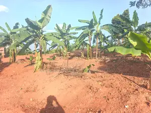 30 Decimals of Prime Land for Sale – Namugongo Bukerere