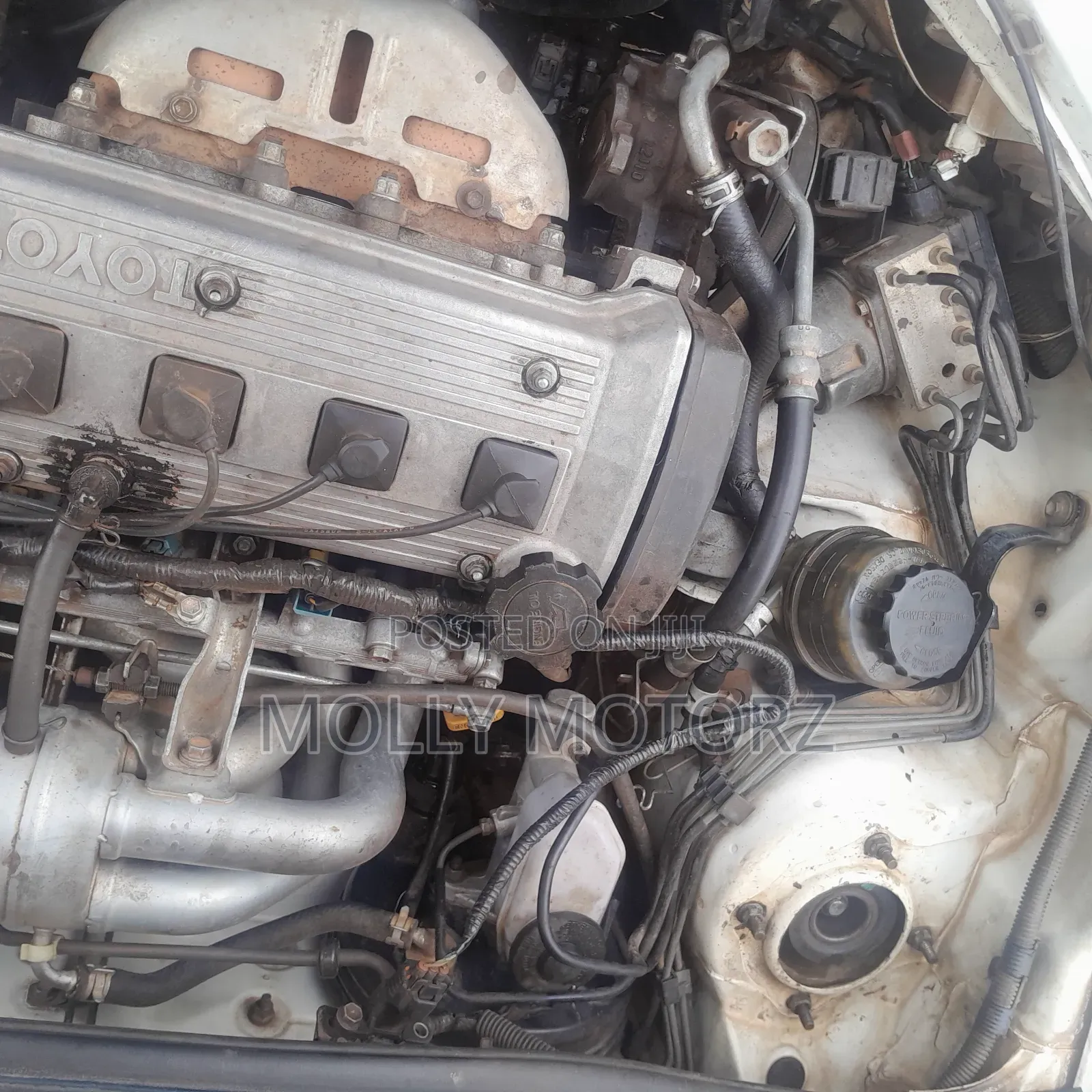 Toyota Raum 2004 White