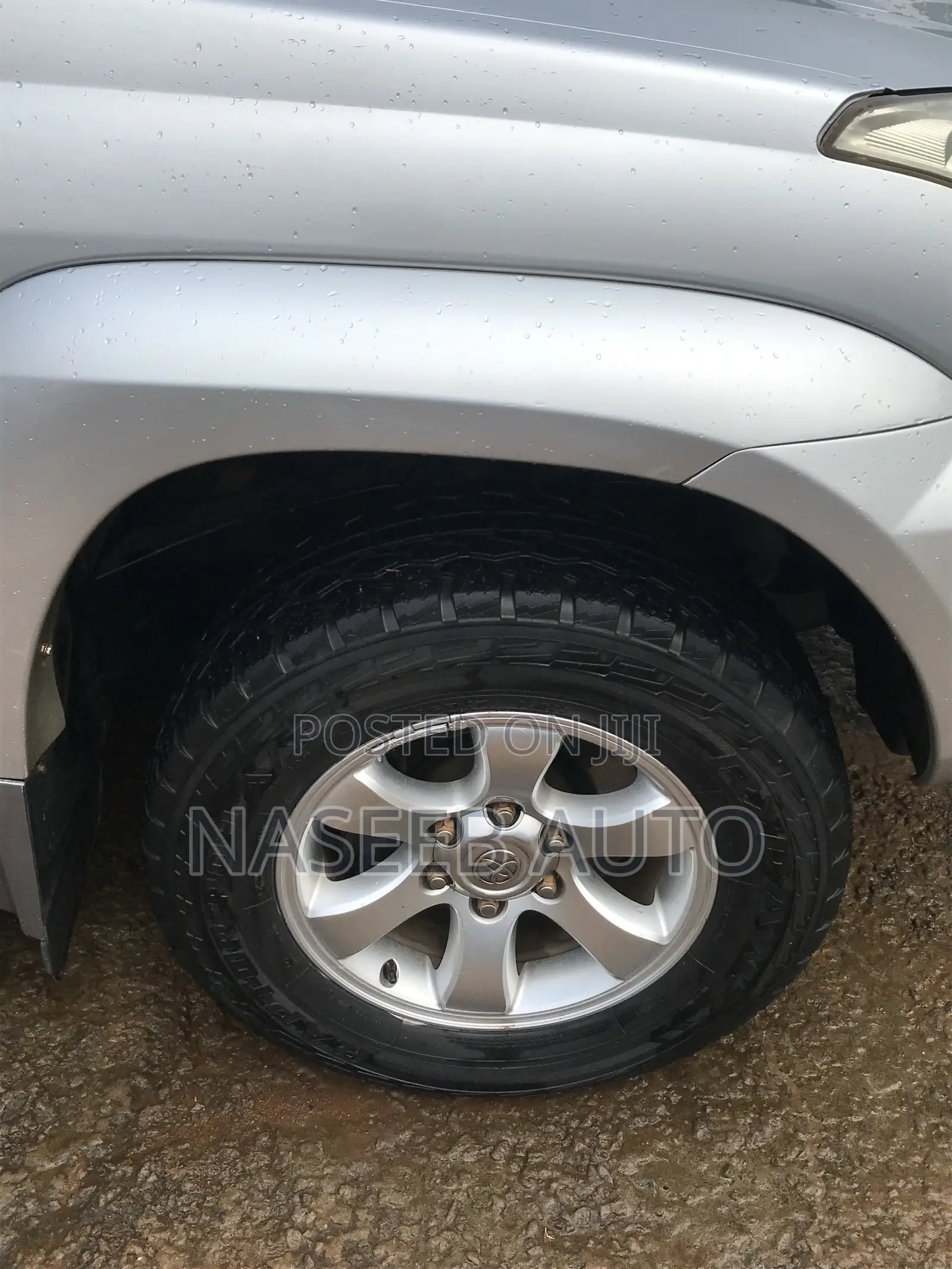 Toyota Land Cruiser Prado 2007 Silver