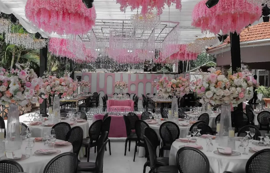 Baby Pink, Black & White Introduction