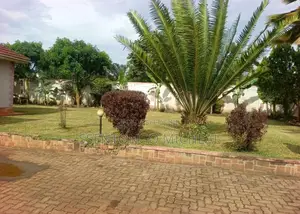 5bdrm House in Rubaga for sale