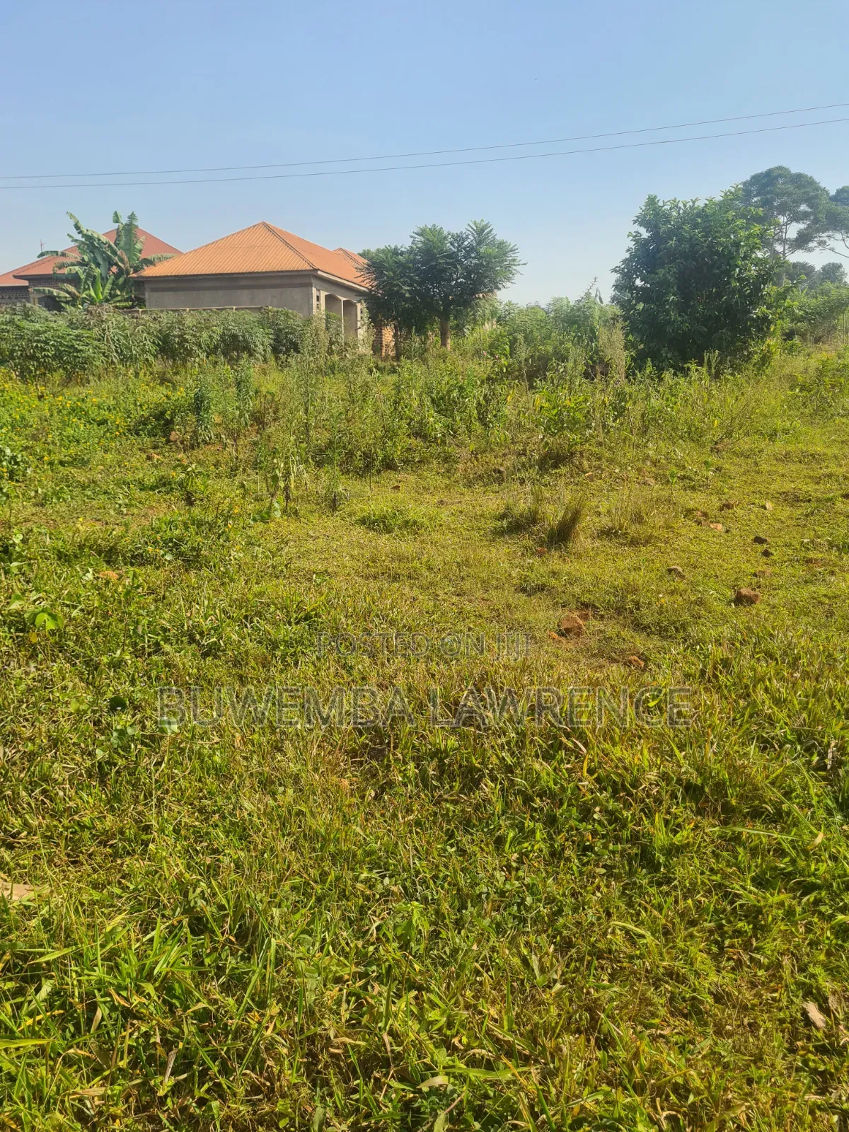Land for Sale at Wakiso Nkowe Hoima Rd 50x100