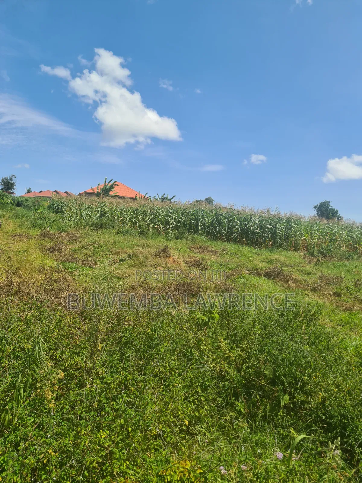 Land for Sale at Matuga Kabunza Bombo Rd 50x100