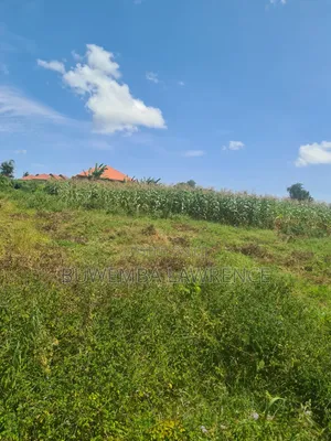 Land for Sale at Matuga Kabunza Bombo Rd 50x100