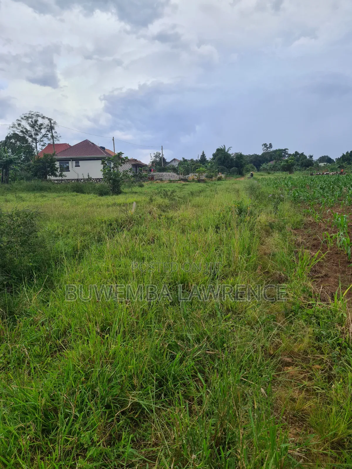 Plot for Sale Lake View at Mpala Ntebe Road 50x100