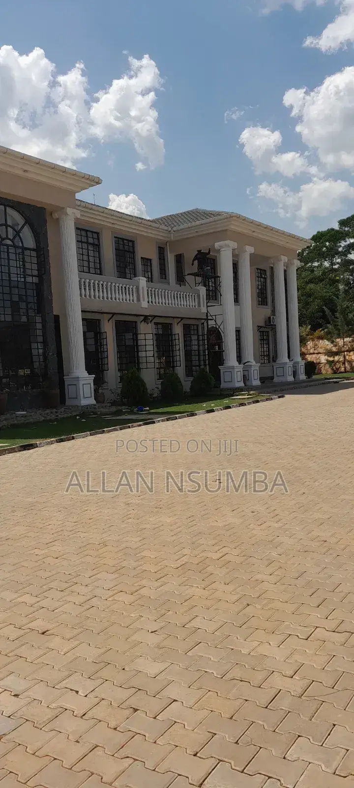 Professional Painter-Interior Exterior House Painting/Kampala All
