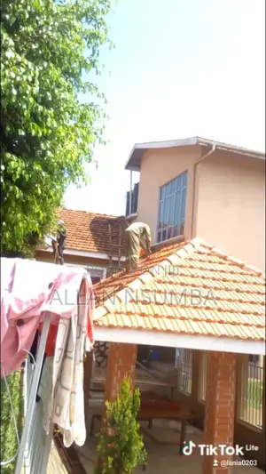 Professional Painter-Interior Exterior House Painting/Kampala All