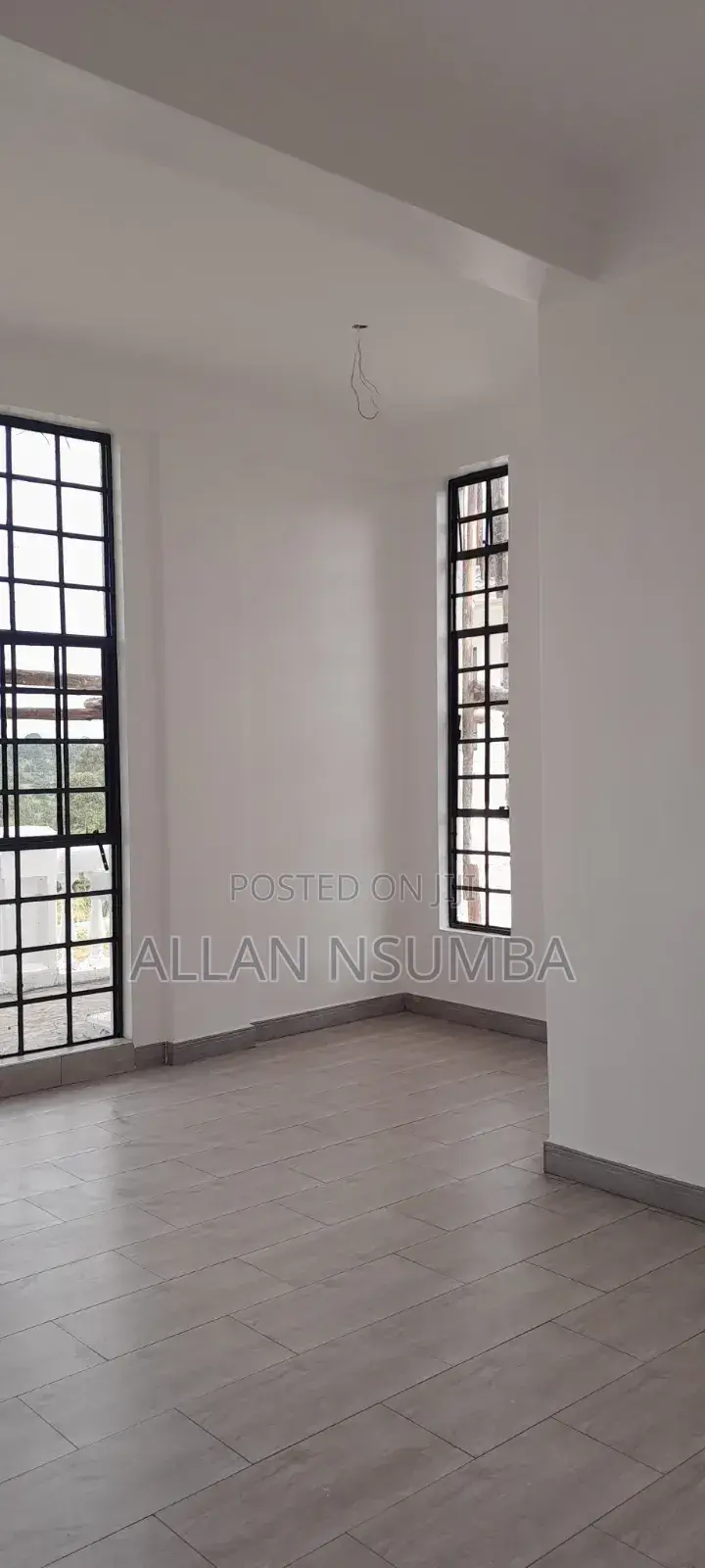 Professional Painter-Interior Exterior House Painting/Kampala All
