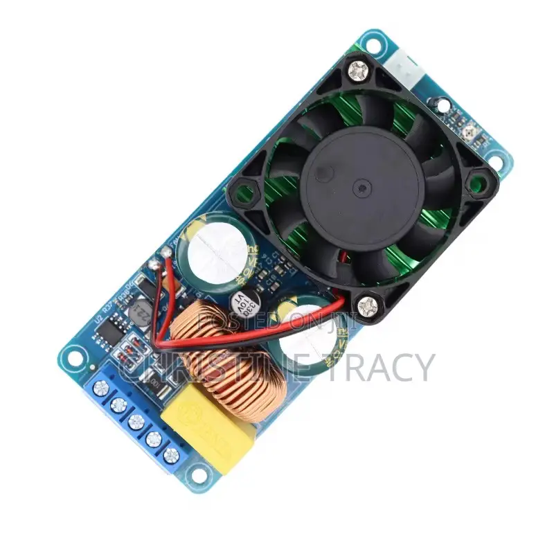 Mono Channel Digital Amplifier Board