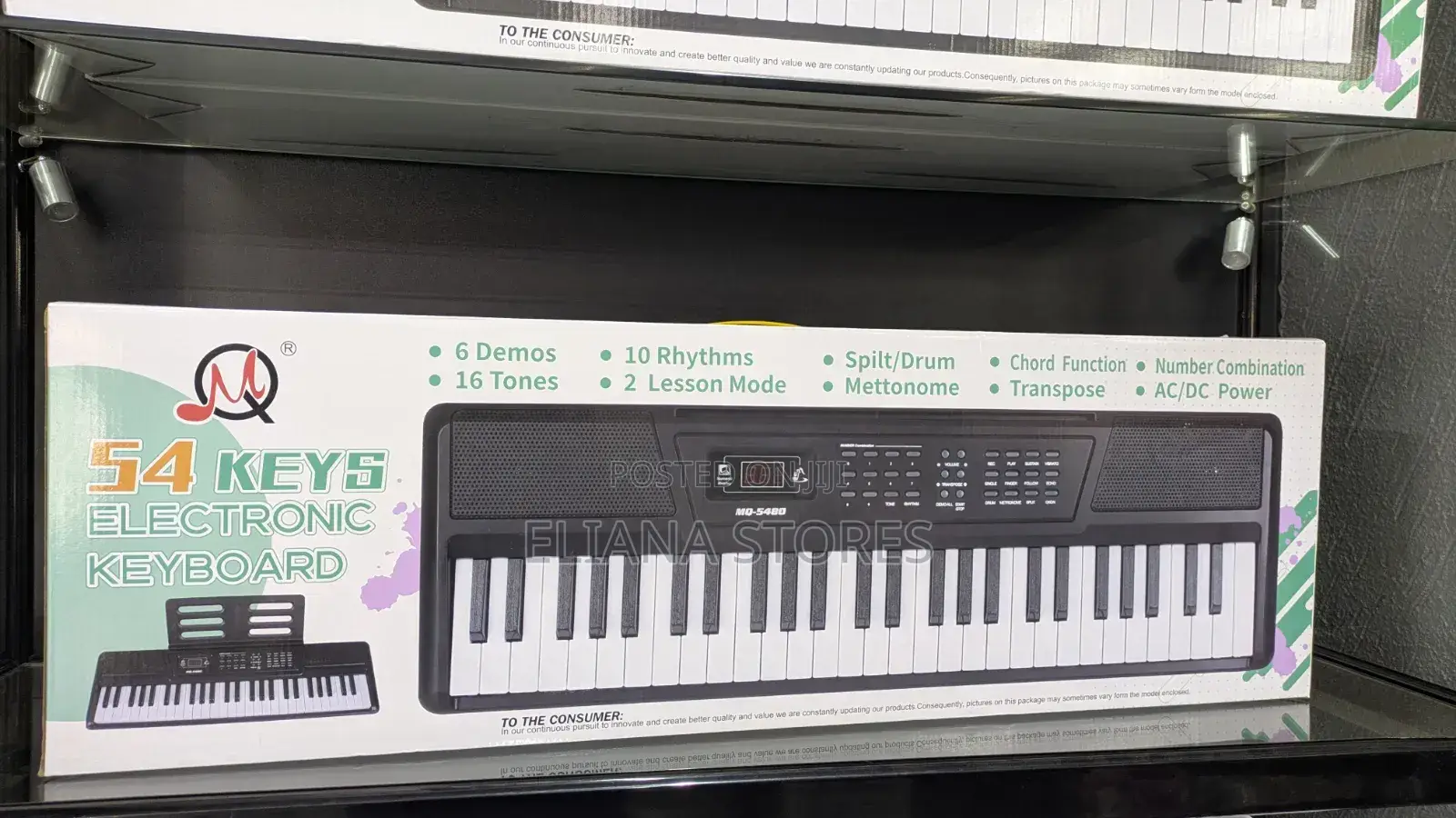54 Keys Electronic Keyboard Piano