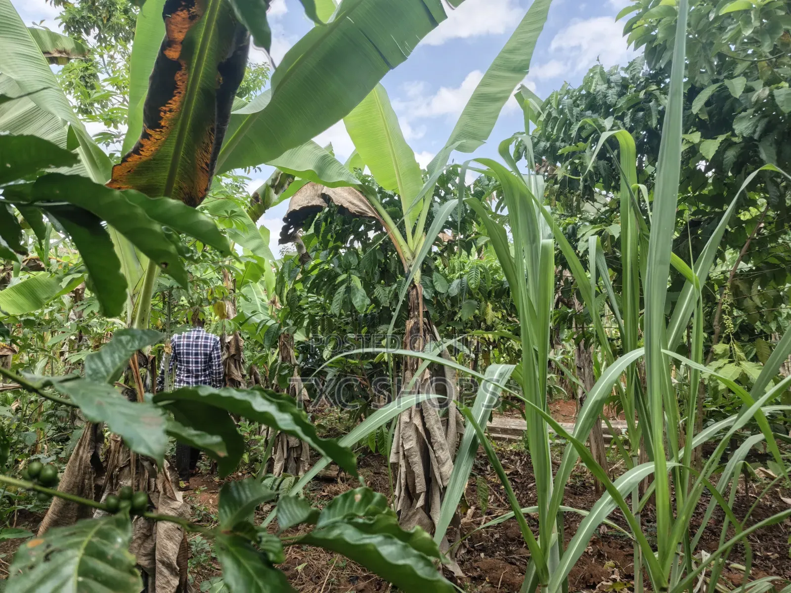 1acre for Sale Jinja