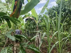1acre for Sale Jinja Budondo Road