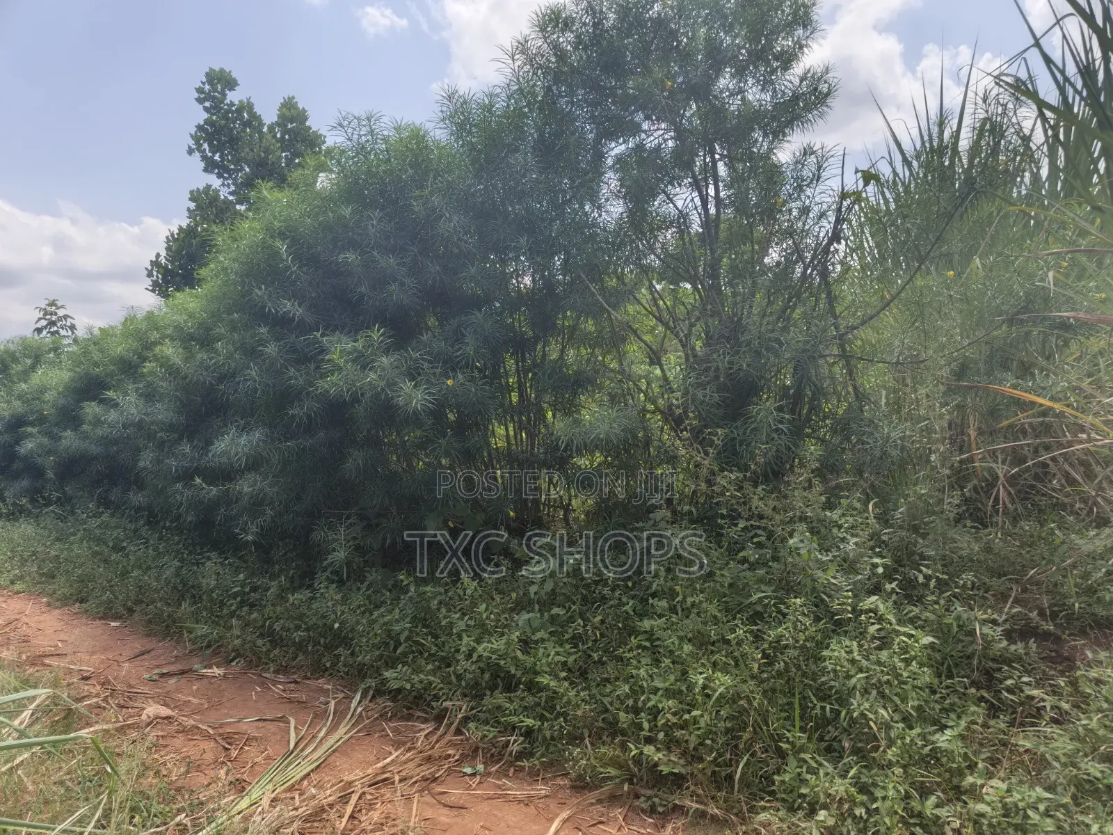 1acre for Sale Jinja