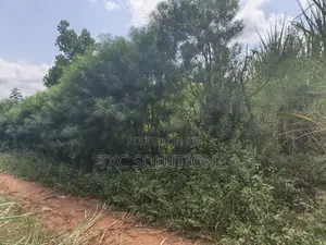 1acre for Sale Jinja Budondo Road