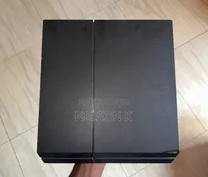 Play Station 4 Standard Version