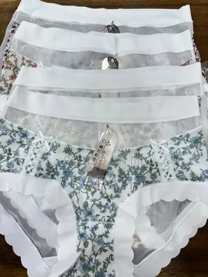1 Dozen Ladies Knickers