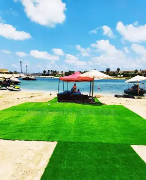 Great Artificial Turf Carpets