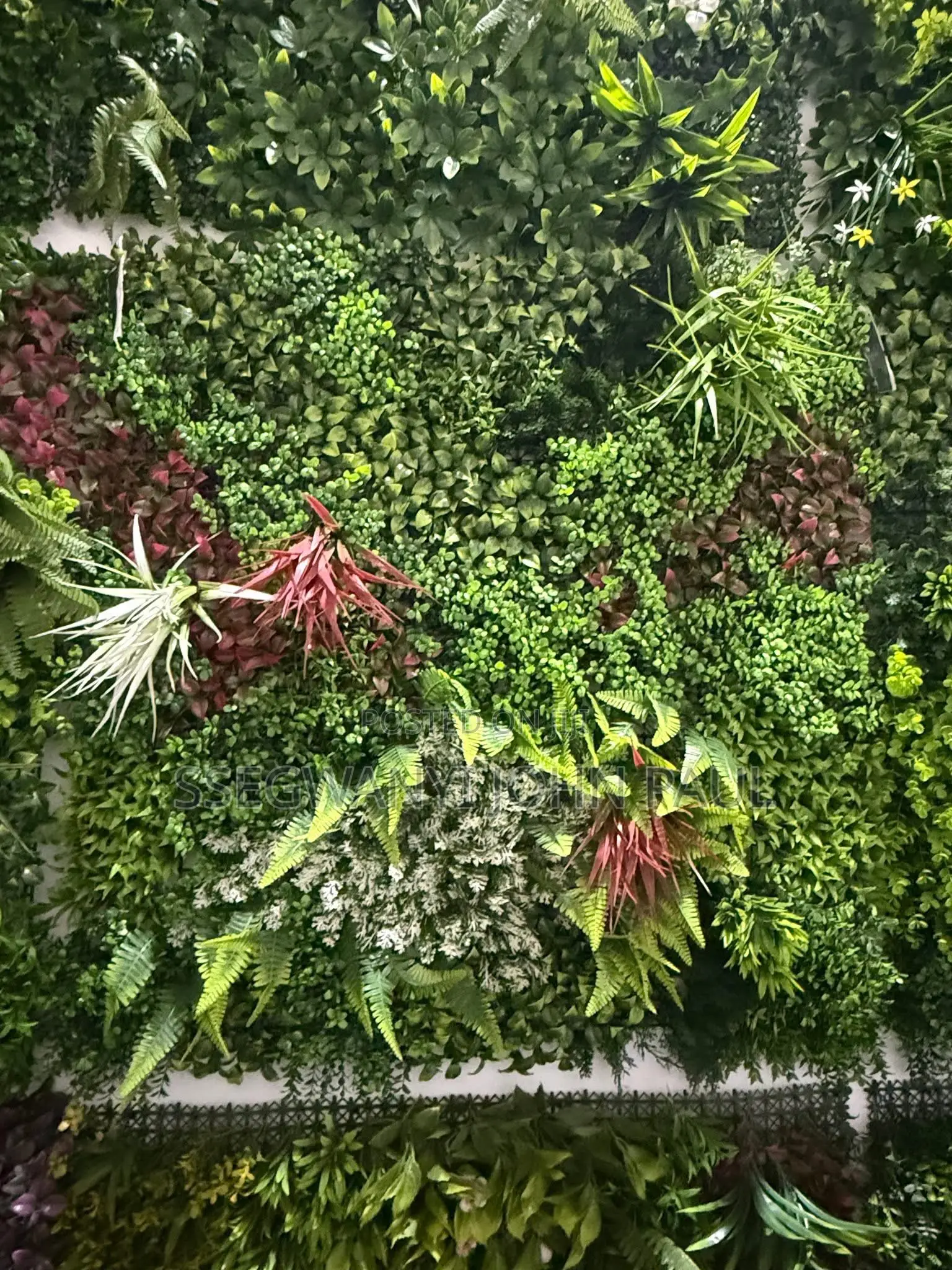 Wall Decorations Grass