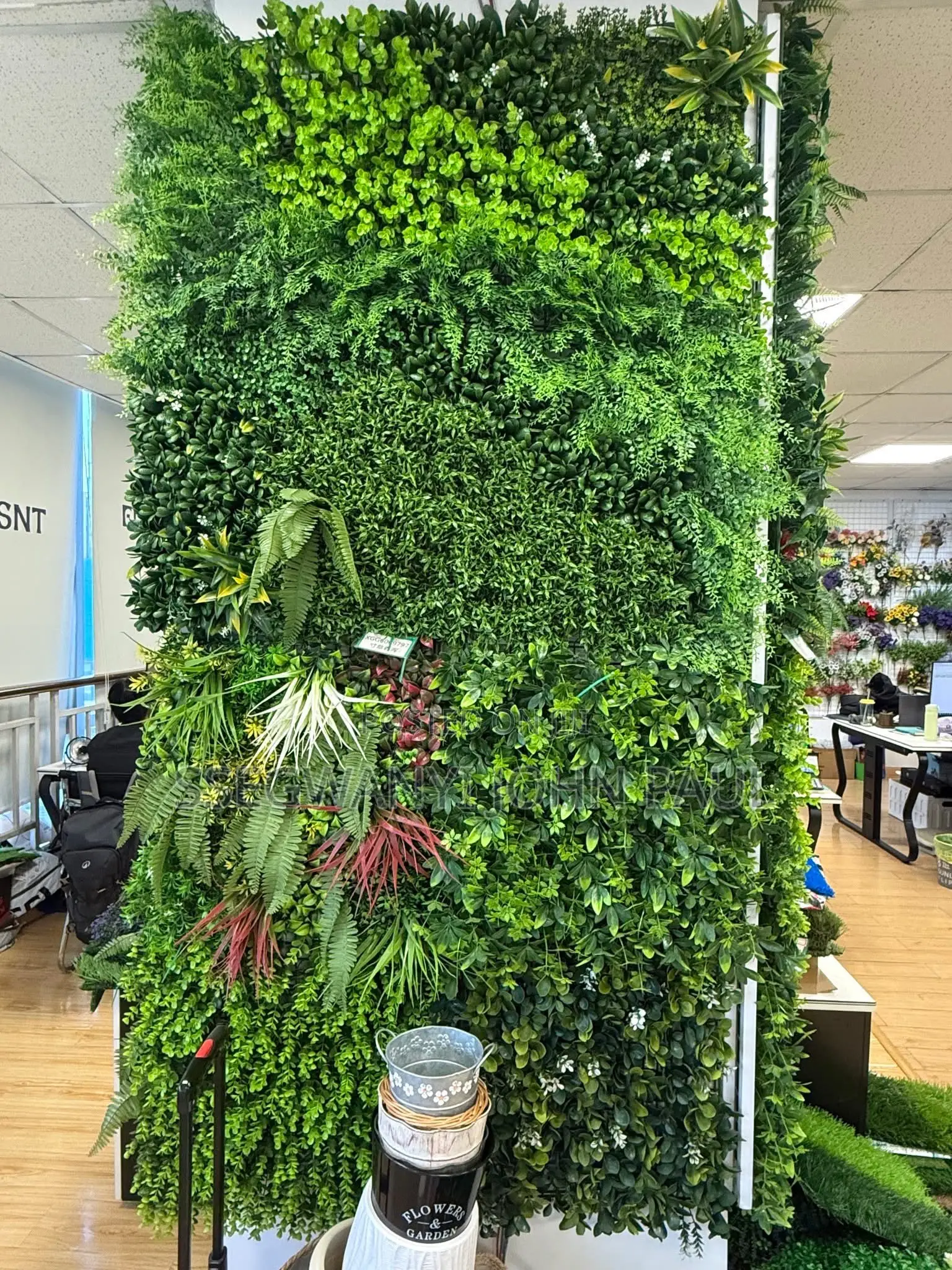 Wall Decorations Grass