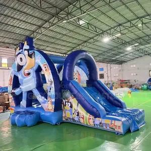 Bouncing Castle For Hire