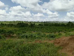 15 Acres Waterfront Land on Sale – Garuga Bulega
