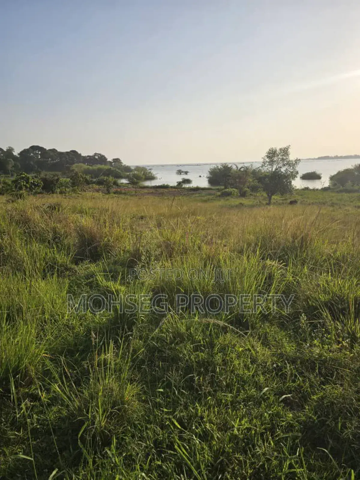 32 Acres of Land for Sale at Entebbe Road A`