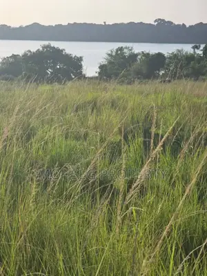 32 Acres of Land for Sale at Entebbe Road A`