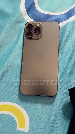 Apple iPhone 13 Pro Max 256 GB Gray
