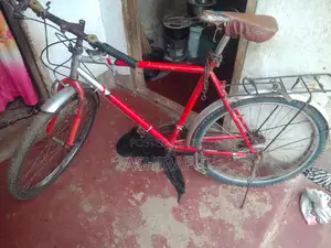 Adult Bicycle