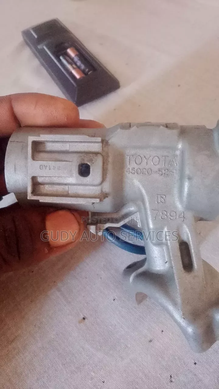 Ignition Switches and Car Door Locks