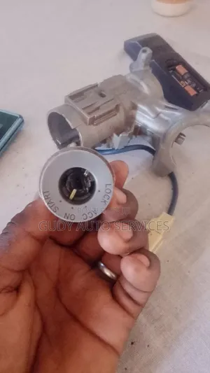 Ignition Switches and Car Door Locks