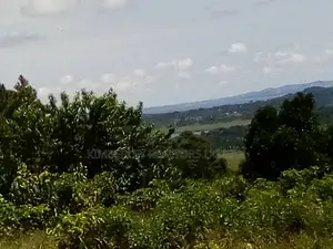 Beautiful Lake View Land for Sale – Mpata, Mukono