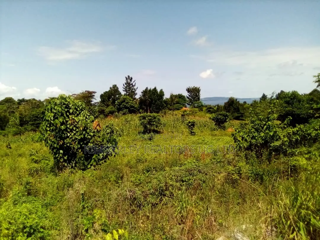 Beautiful Lake View Land for Sale – Mpata, Mukono