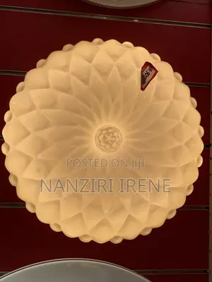 Ceiling Light