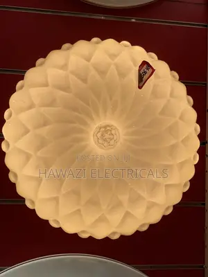 Ceiling Light