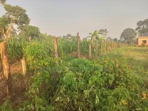 One and a Half Acres on Sale at Kasanje