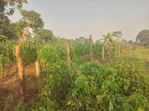 One and a Half Acres on Sale at Kasanje