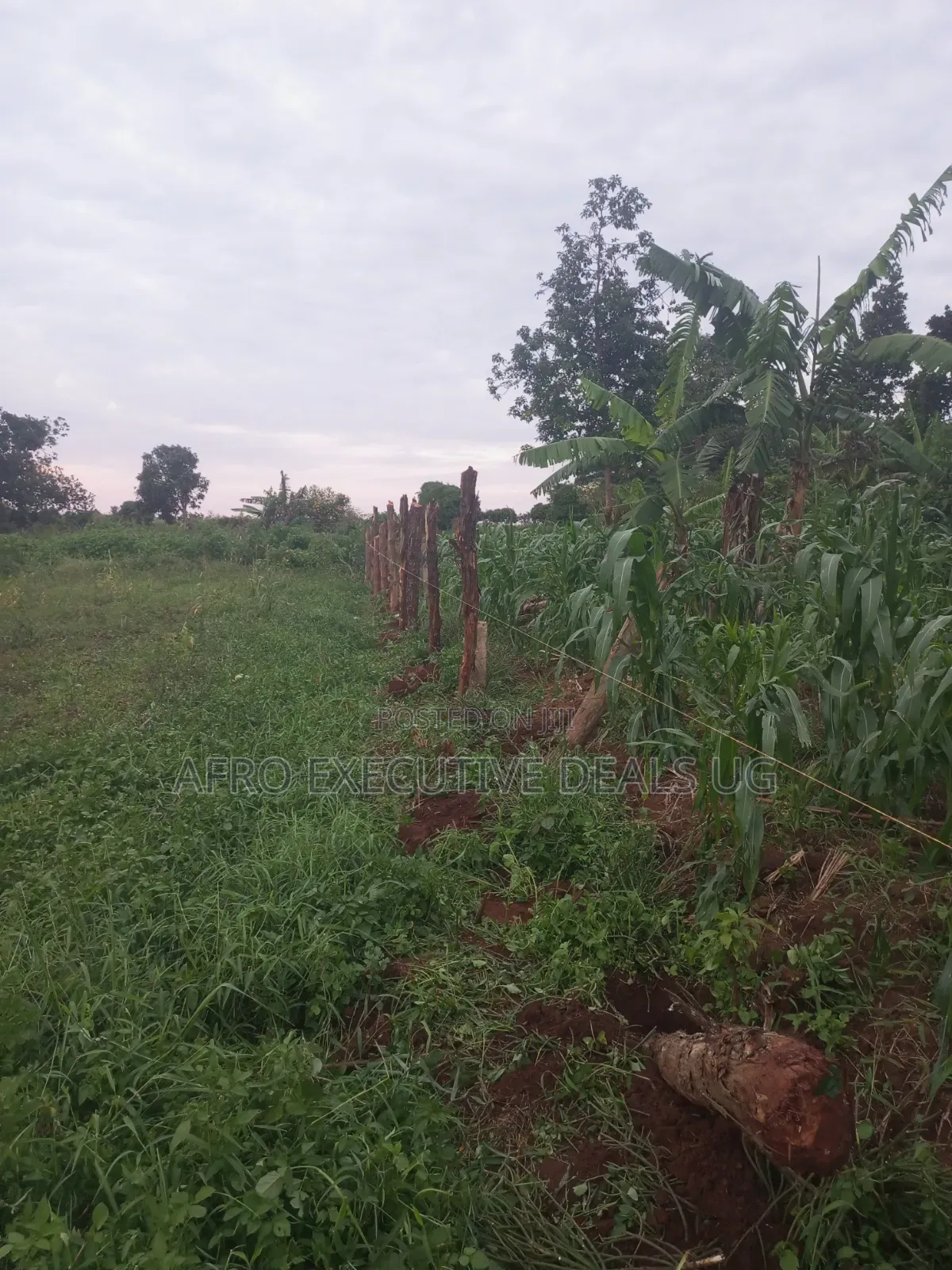 One and a Half Acres on Sale at Kasanje
