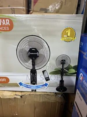 Stand Mist Fan