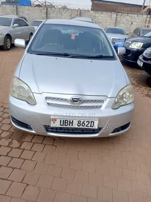 Toyota Allex 2006 Silver